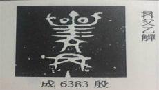 蝠字能组什么词