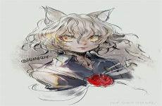 全职猎人猫女是谁的转生